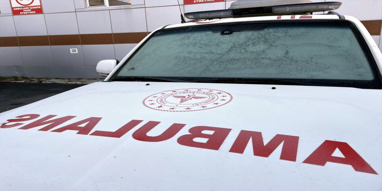 Ardahan ve Kars'ta araç camları buz tuttu, bitkiler kırağıyla kaplandı