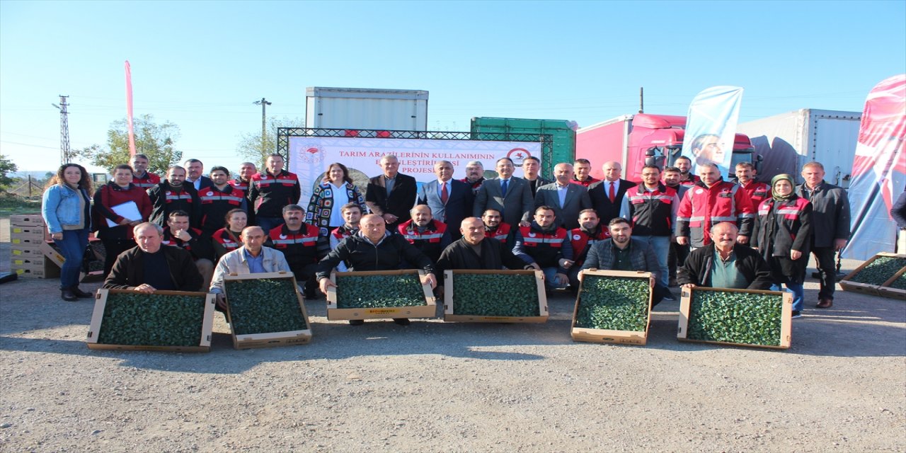 Samsun'da çiftçilere 625 bin brokoli fidesi verildi.