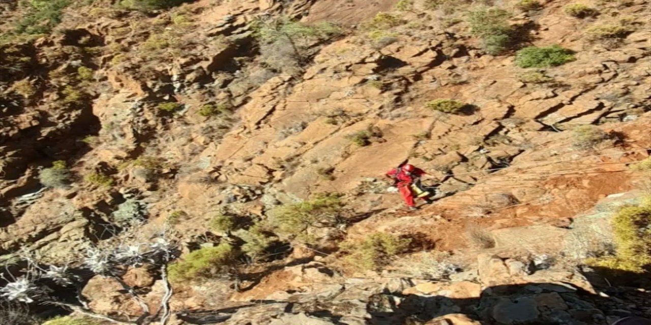 Fethiye'de kayalık alanda mahsur kalan 2 keçi kurtarıldı