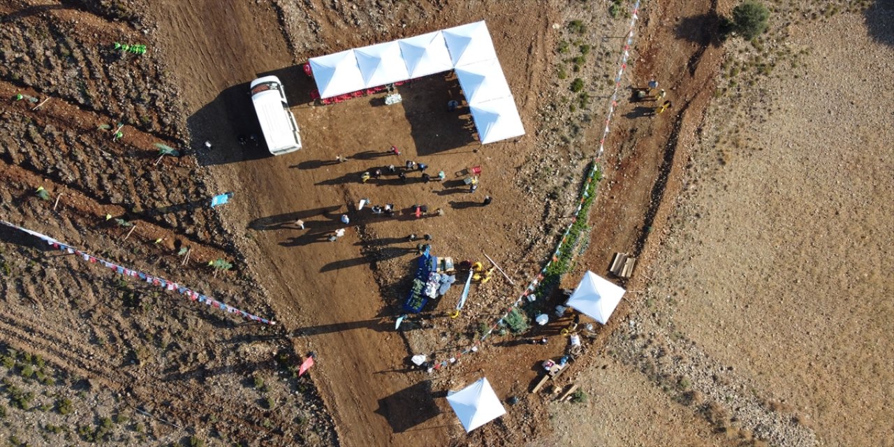 Adana ve çevre illerde fidan dikimi yapıldı.