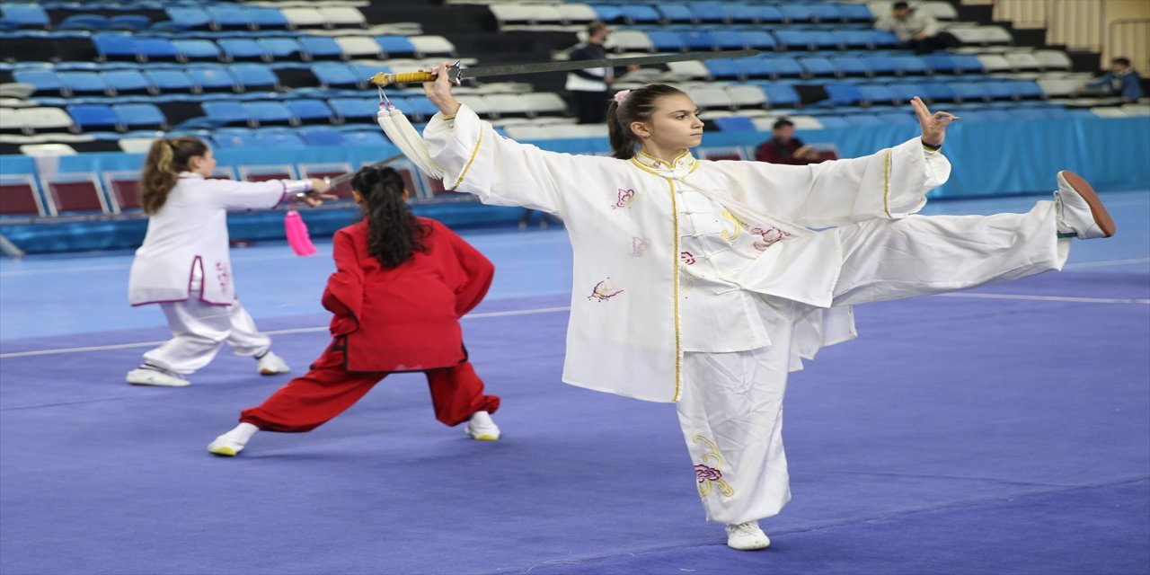 Tai Chi Türkiye Şampiyonası Sakarya'da tamamlandı