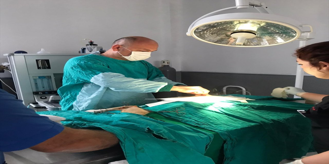 İzmir'de otomobilin çarptığı köpek tedavi altına alındı.