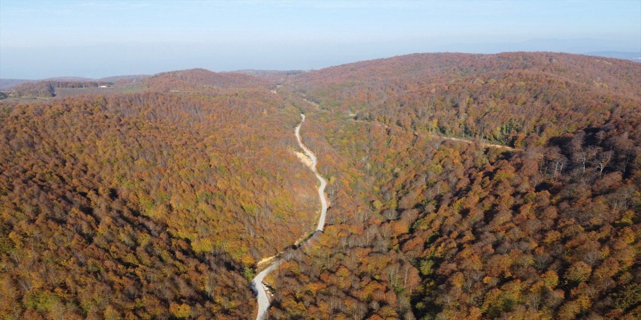 Batı Karadeniz ormanları adeta sonbaharı yaşıyor.