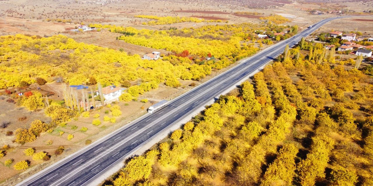 Malatya'da sonbahar renklerinin hakim olduğu kayısı ağaçları dron ile görüntülendi
