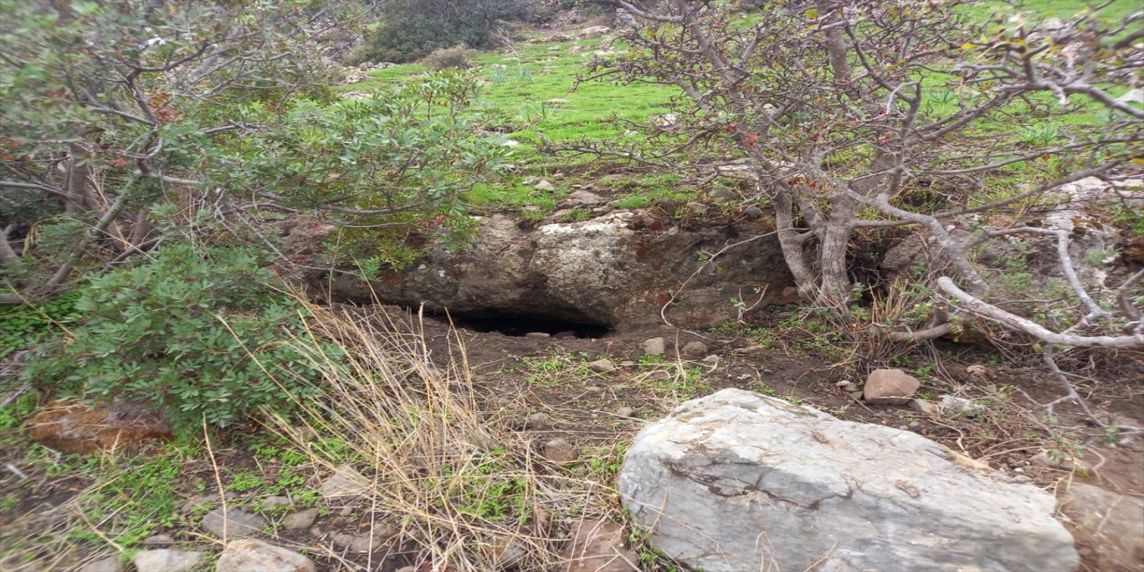 Bodrum'da kaçak kazı yapan 2 kişi suçüstü yakalandı
