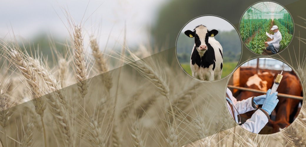 713 MİLYON 836 BİN LİRA BUGÜN ÇİFTÇİLERİMİZİN HESAPLARINDA