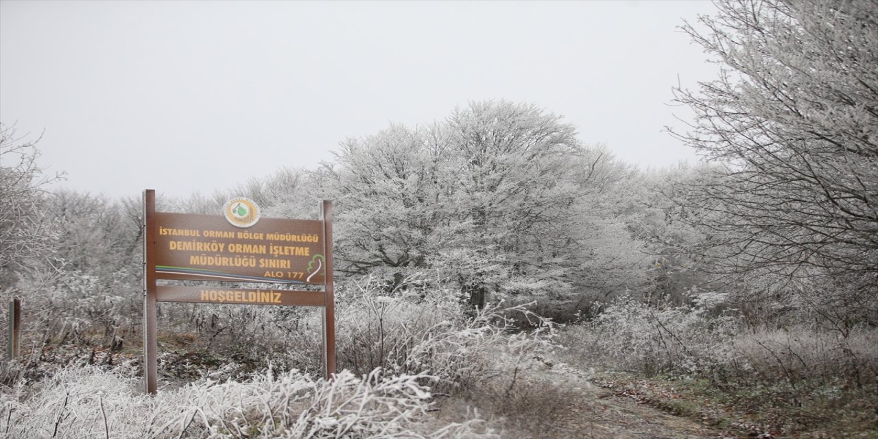 Kırklareli'nin yüksek kesimlerine kar yağdı.
