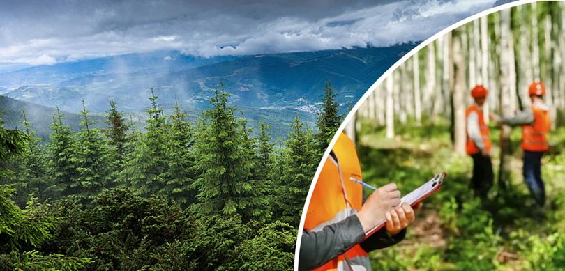 1.482 sözleşmeli personel ve 131 geçici orman işçisi olmak üzere toplam 1.613 personel alımı