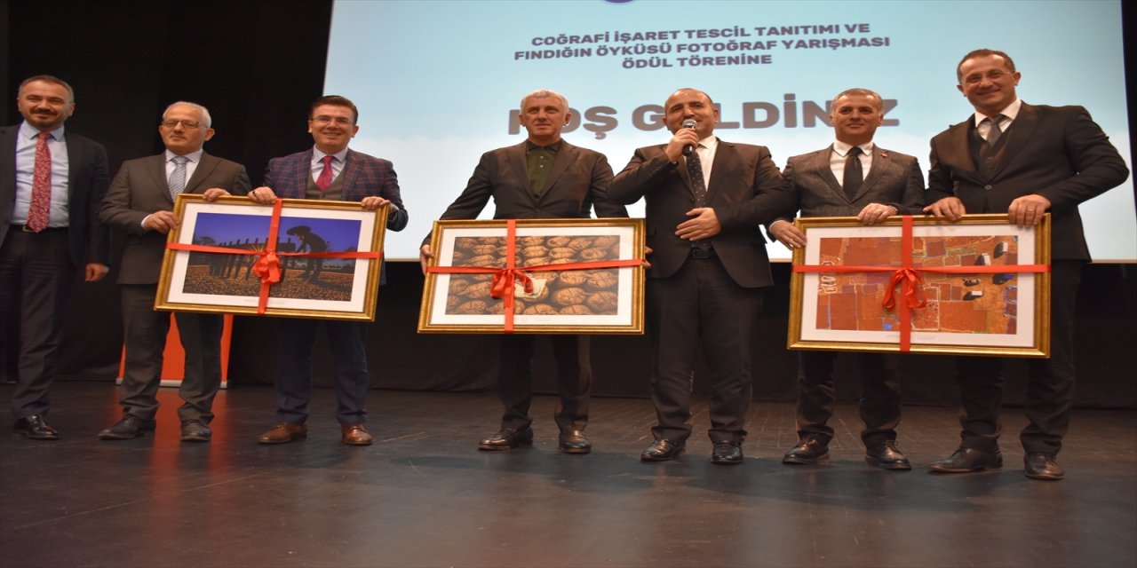 "Arsin Foşa fındığı" coğrafi olarak işaretlendi.