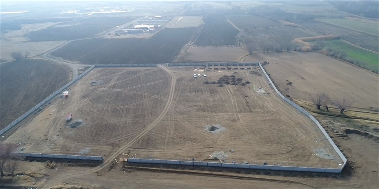 Erzincan'da sahipsiz hayvanların yaşaması için barınak yapılıyor.