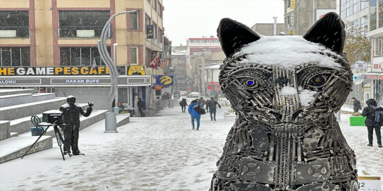 Van'a kar yağışı devam ediyor.