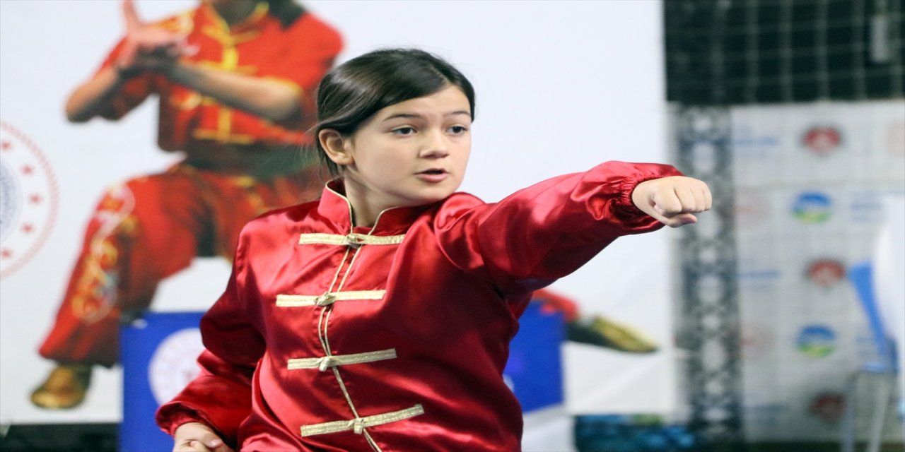 .Geleneksel Wushu Kung Fu Türkiye Şampiyonası Sakarya'da tamamlandı