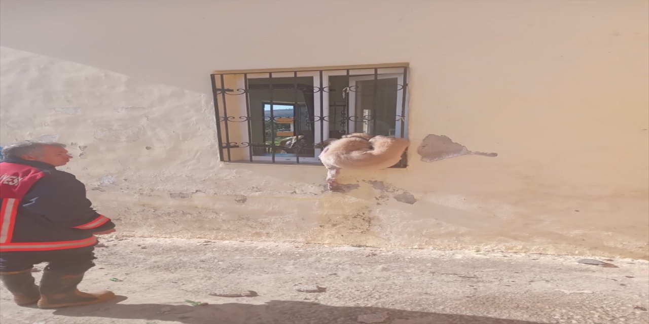 Mersin'de demir parmaklıklara sıkışan köpeği itfaiye kurtardı