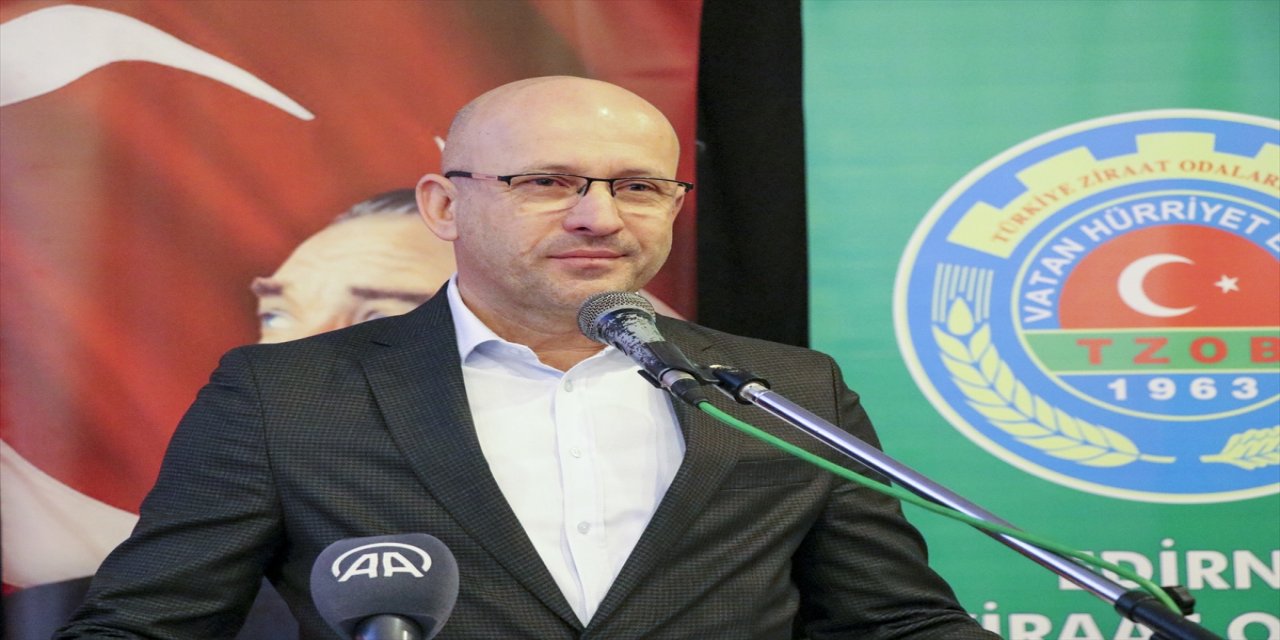 Edirne'de "lavanta tarlaları" artıyor