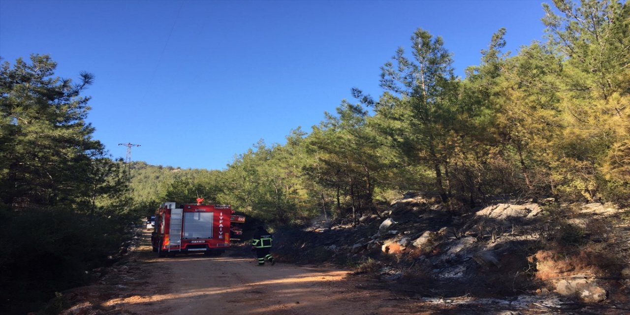 Muğla'da çıkan orman yangını ekipler tarafında söndürüldü.