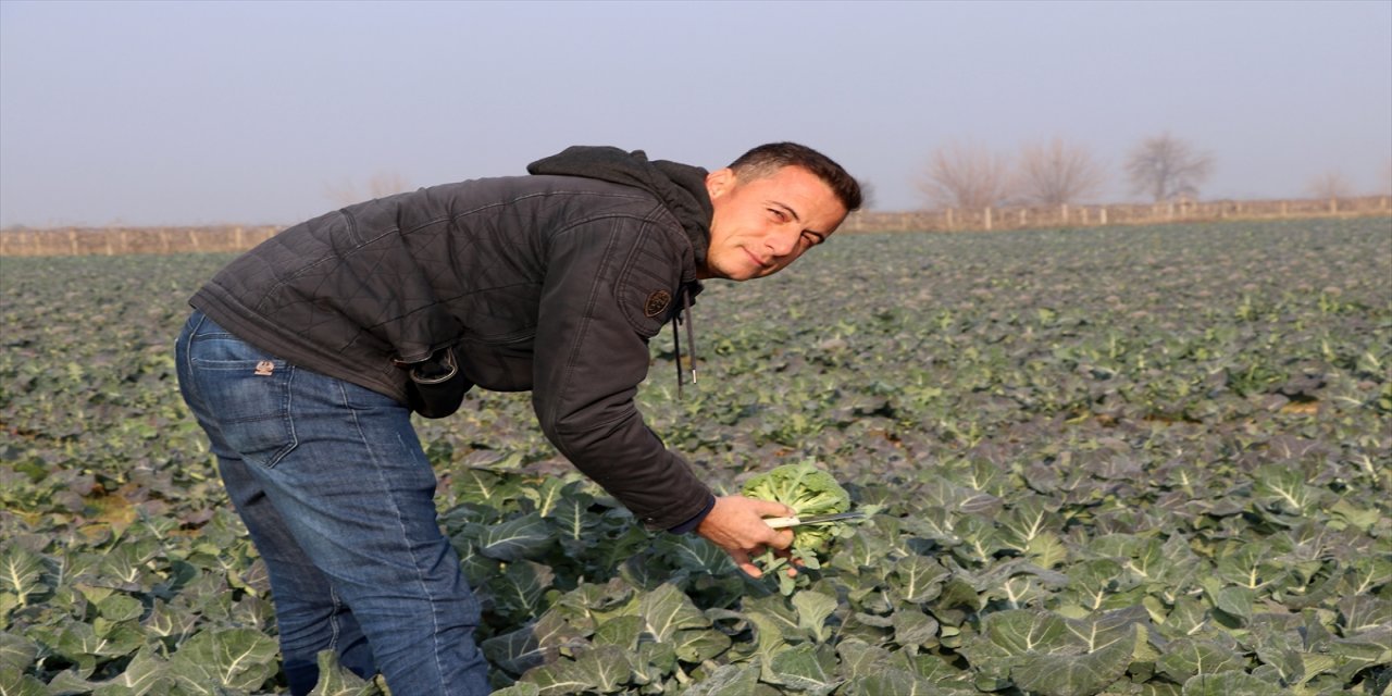 "Tarım Cebimde" uygulamasını kullanan Manisalı çiftçiler memnun