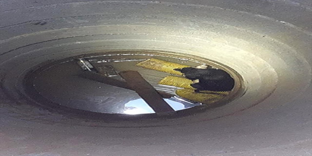 Ataşehir'de kuyuya düşen köpeği itfaiye kurtardı