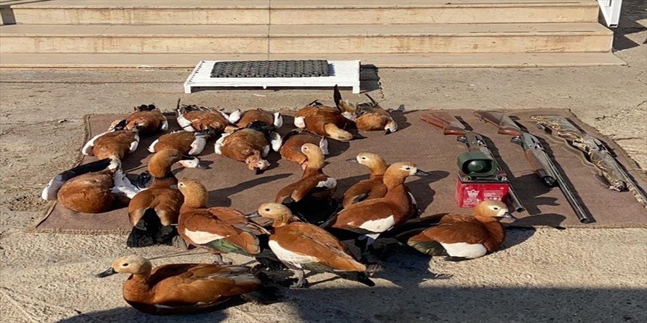 Şanlıurfa'da kaçak avlanan 3 kişiye para cezası kesildi.