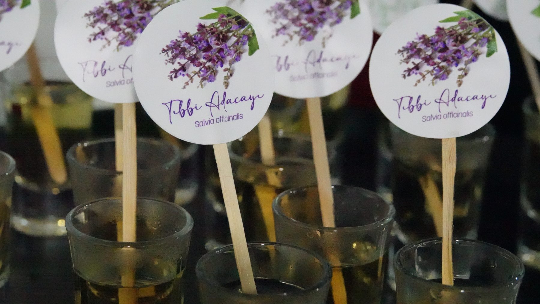 TIBBİ BİTKİ ÇAYLARI TANITIM TOPLANTISI