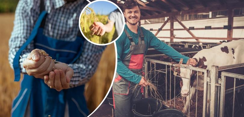 UZMAN ELLER PROJESİ