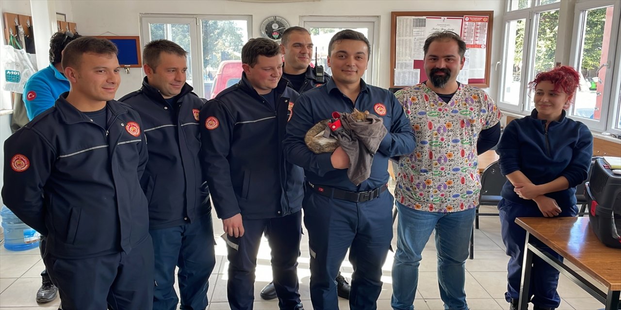 Bodrum'da itfaiyeciler kurtardıkları kediyi sahiplendi.