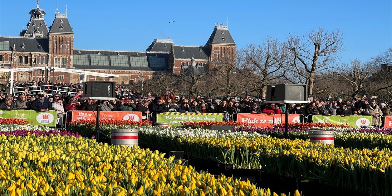 Hollanda'da "Ulusal Lale Günü" etkinliği düzenlendi
