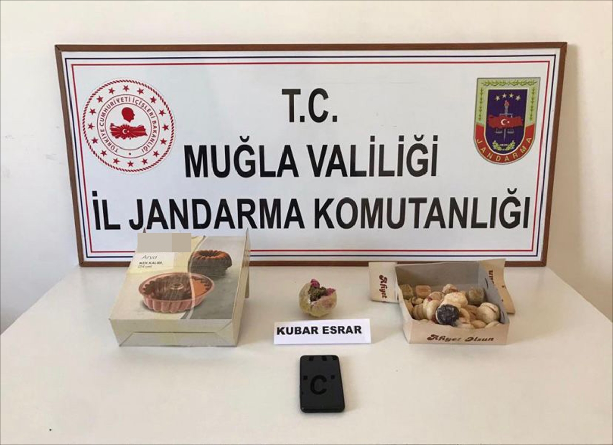 Muğla'da kargoyla gönderilen kuru pasta içine zulalanmış uyuşturucu ele geçirildi