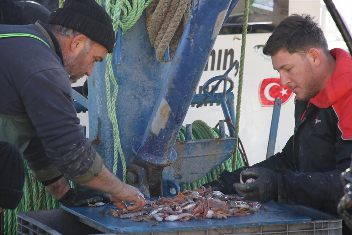 Tekirdağ'da küçük tekne balıkçıları kıyıya karidesle döndü