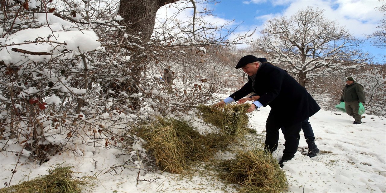 Tokat Valisi Hatipoğlu, yaban hayvanları için doğaya yem bıraktı