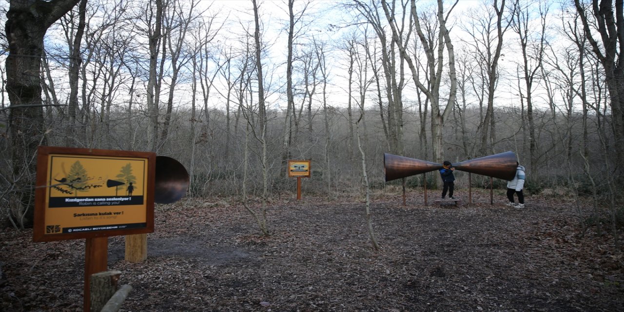 Ormanya'da doğanın sesi özel olarak dinleniyor.