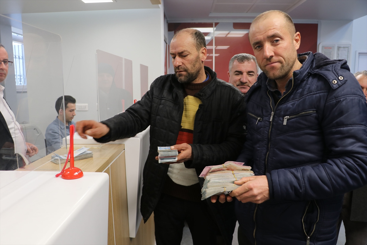 Samsun'da besici ve çobanlar depremzedeler için bağışta bulundu