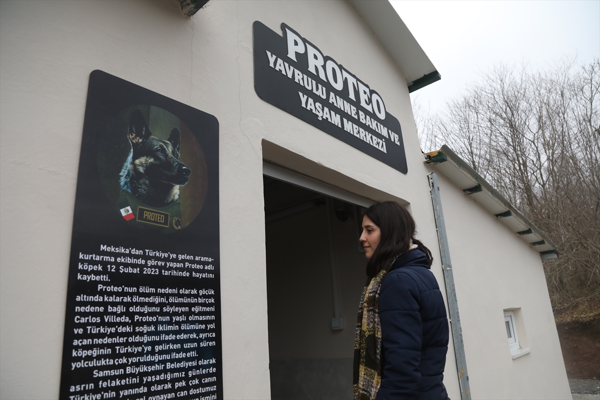 Arama kurtarma köpeği "Proteo"nun adı Samsun'da yaşatılacak