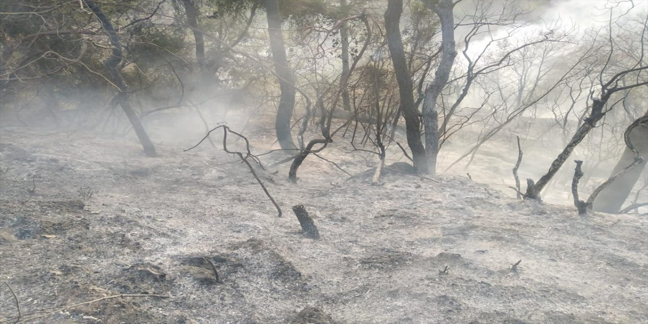 Osmaniye'de çıkan orman yangınına müdahale ediliyor