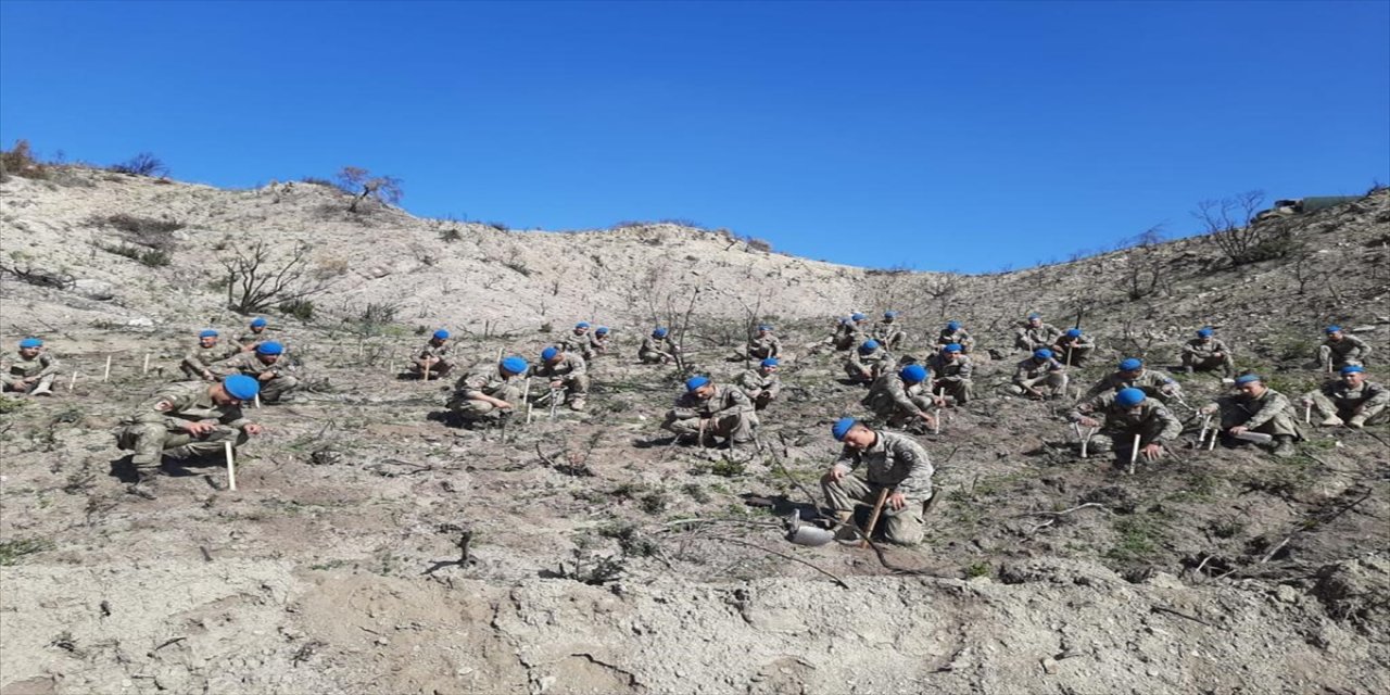 KKTC'de askerler yanan ormanlık alana 5 bin fidan dikti