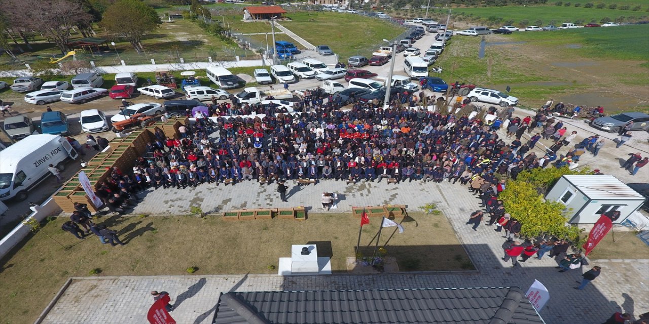 Muğla'da 5 bin meyve fidanı dağıtıldı.