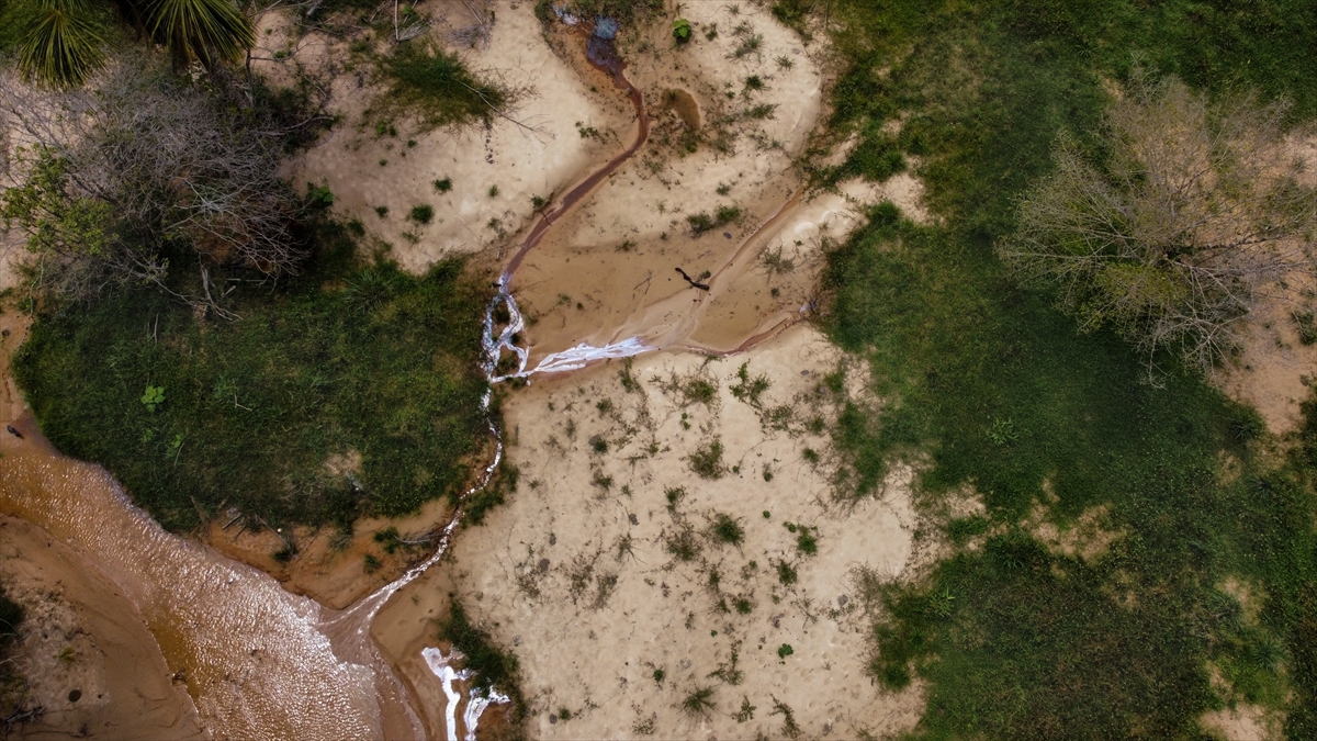 Kolombiya'da son 5 yılda 210 bin 880 hektar ormanlık alan yok oldu