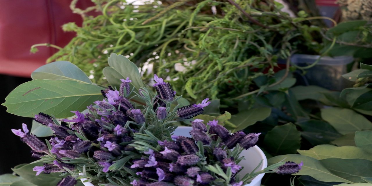 Fethiye'de 5. Göcek Ot Yemekleri Festivali düzenlendi.