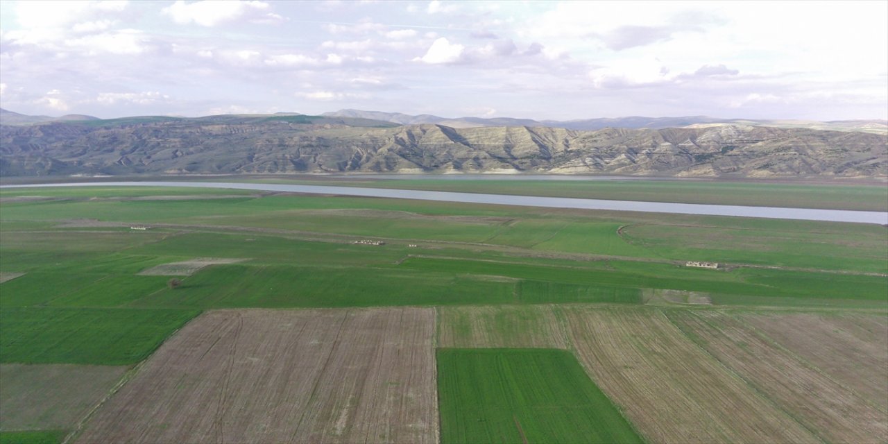 Elazığ'da suyun çekildiği baraj sahasındaki 83 yıllık tren istasyonu gün yüzüne çıktı