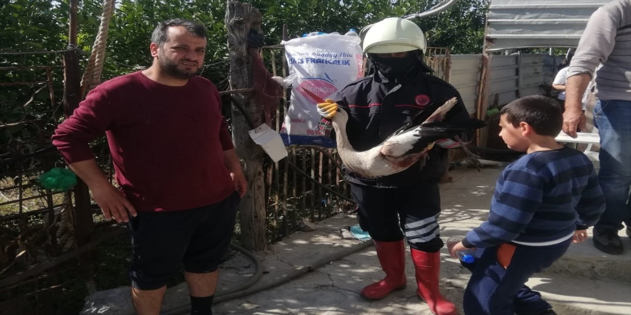 Hatay'da yaralı leylek tedavi altına alındı