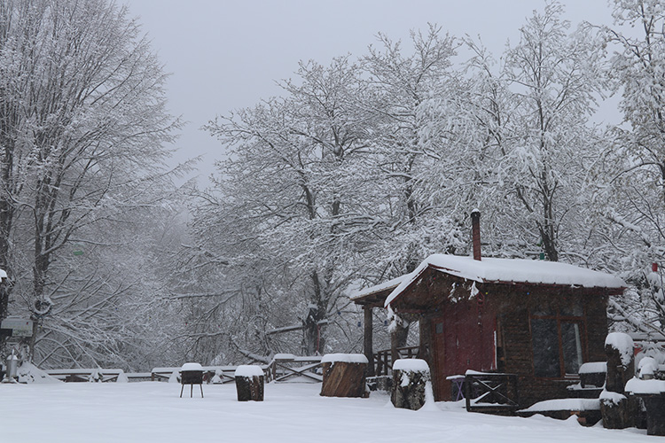 Giresun ve Rize'nin yüksek kesimlerinde kar yağışı etkili oluyor