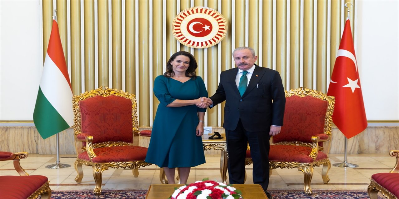 TBMM Başkanı, Macaristan Cumhurbaşkanı ile görüştü.