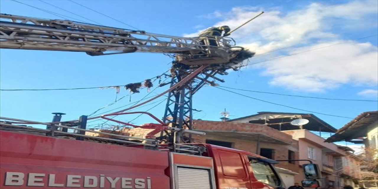 Tokat'ta elektrik direğindeki leylek yuvası yandı.