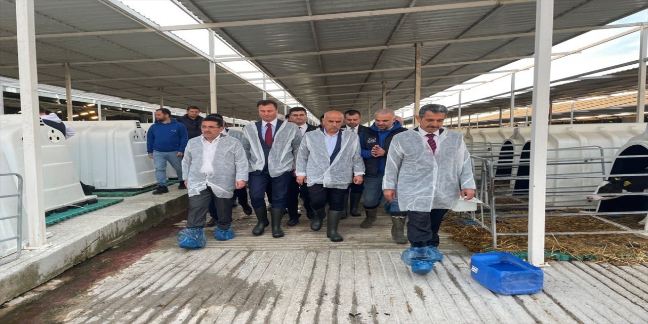 Bakan Kirişci, Kırklareli'nde jeotermal seracılık tesisinde incelemede bulundu: