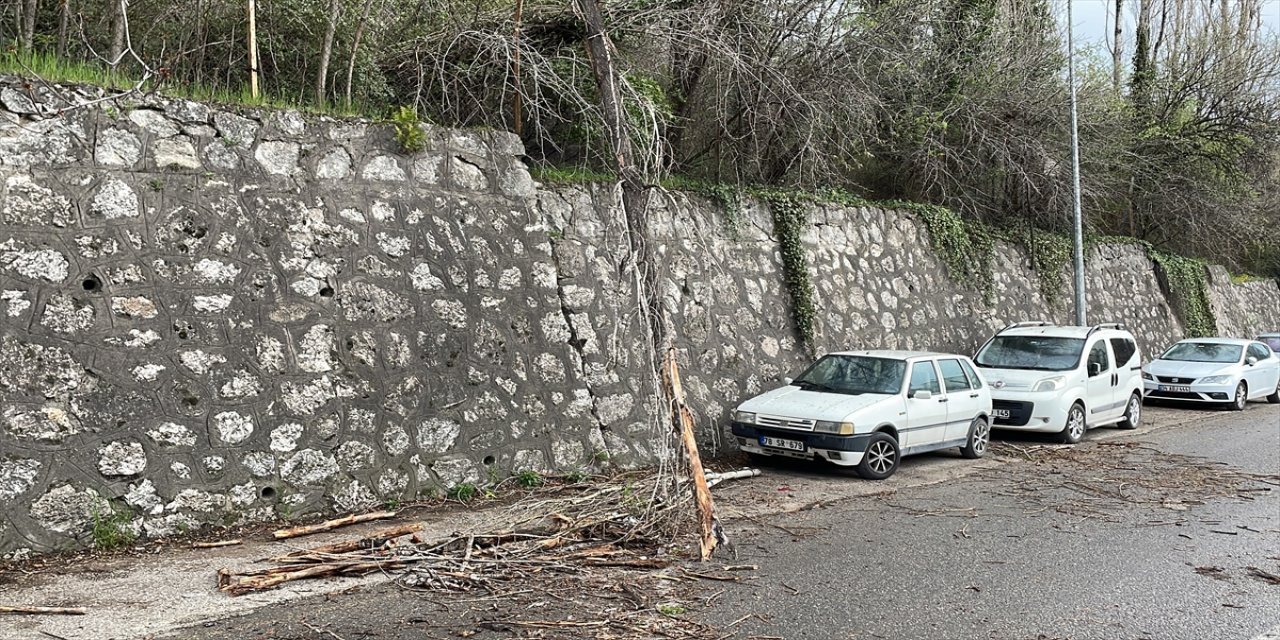 Karabük'te kuvvetli rüzgar nedeniyle devrilen ağaç araçlara zarar verdi