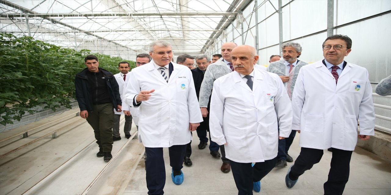Tarım ve Orman Bakanı Kirişci, Sakarya'da Seracılık Mükemmeliyet Merkezi'ni ziyaret etti: