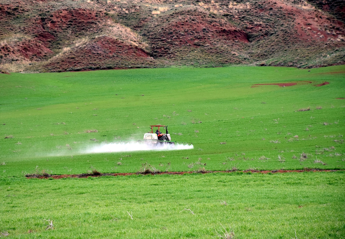 "Olağanüstü kurak" periyodu atlatan Kırıkkale'de çiftçiler ilkbahar yağışlarıyla nefes aldı