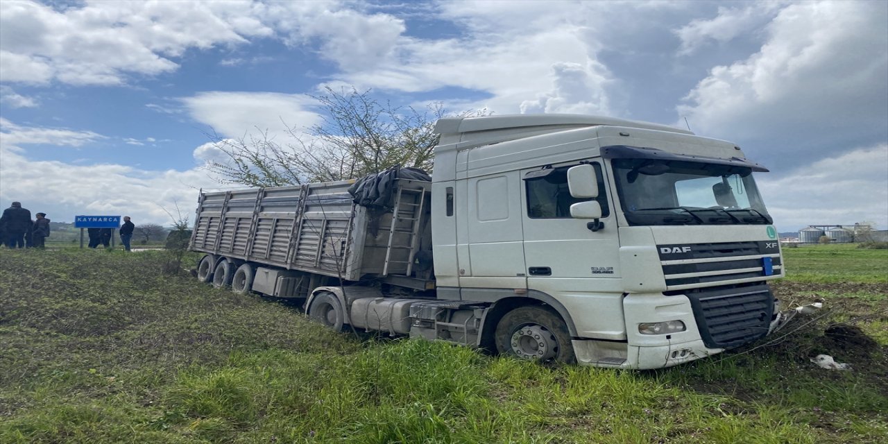 Sakarya'da tır sürücüsü köpeğe çarpmamak için kaza yaptı.