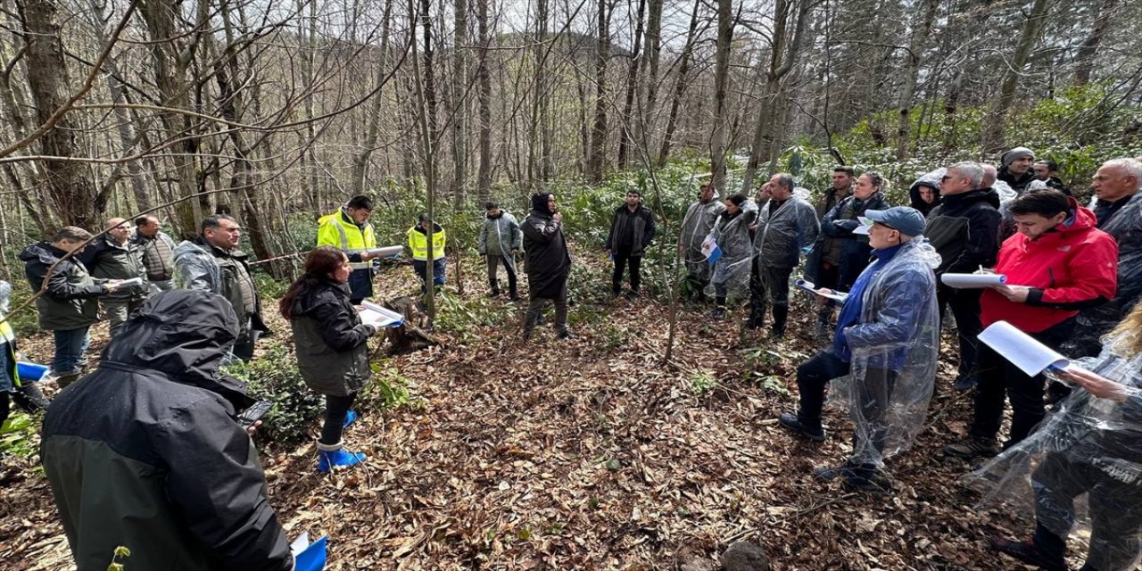 Kastamonu'da kestane ormanlarında üretimin artırılması hedefleniyor