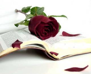 Müslümanların üç "et" le imtihanı