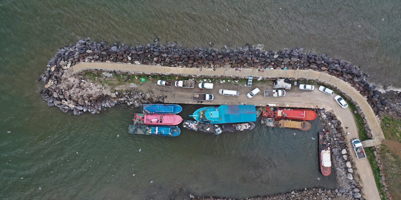 Van Gölü'nde "inci kefali" av yasağı başladı.